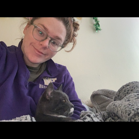 kittyglass